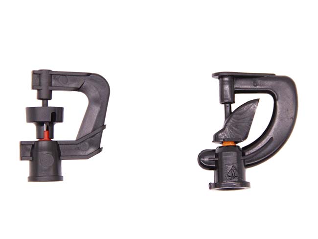 G��С���֣�G�͵�����